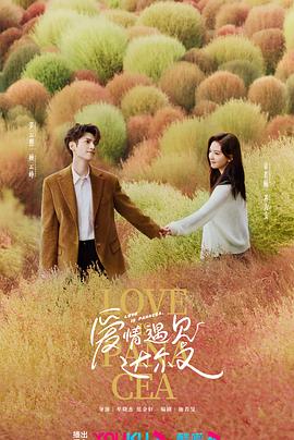 麻城网站排名优化哪家好